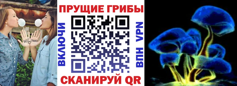 Галлюциногенные грибы Psilocybe  omg как зайти  Сатка 